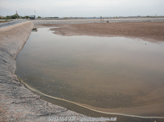 Kỹ thuật chọn lựa ao nuôi tôm sú Kỹ thuật chọn lựa ao nuôi tôm sú