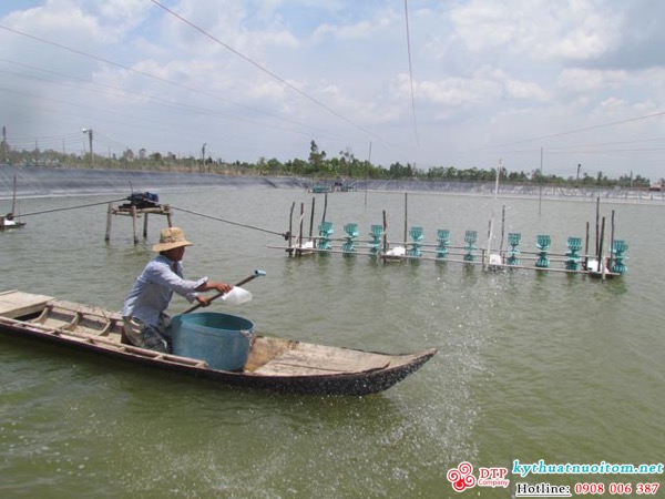kỹ thuật nuôi tôm kỹ thuật nuôi tôm
