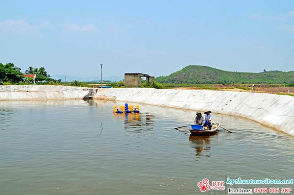 kỹ thuật nuôi tôm kỹ thuật nuôi tôm