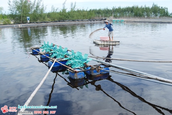 kỹ thuật nuôi tôm kỹ thuật nuôi tôm