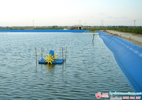 kỹ thuật nuôi tôm kỹ thuật nuôi tôm