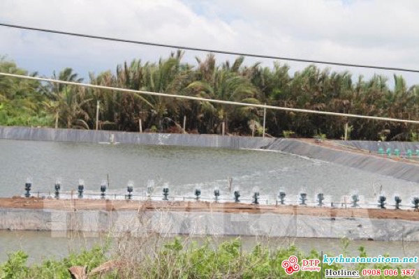 kỹ thuật nuôi tôm kỹ thuật nuôi tôm