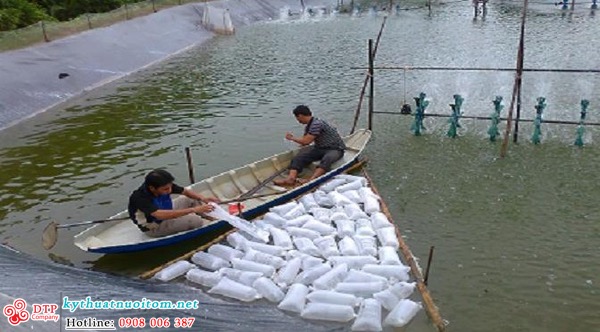 kỹ thuật nuôi tôm kỹ thuật nuôi tôm