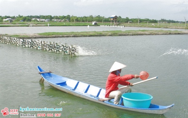 kỹ thuật nuôi tôm kỹ thuật nuôi tôm