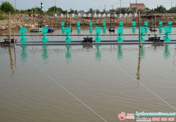 kỹ thuật nuôi tôm kỹ thuật nuôi tôm