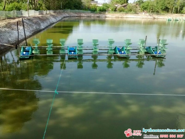 kỹ thuật nuôi tôm kỹ thuật nuôi tôm