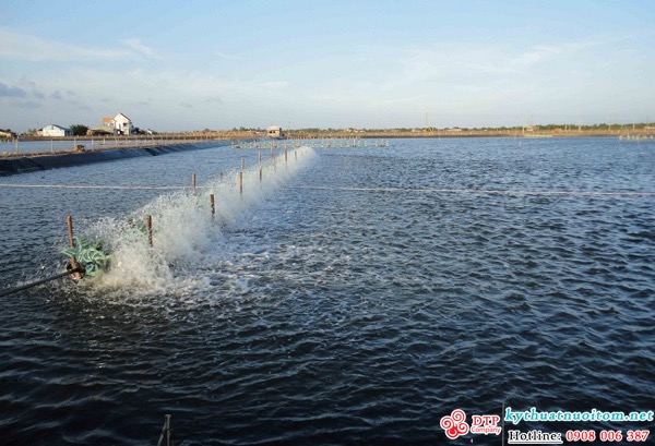 kỹ thuật nuôi tôm kỹ thuật nuôi tôm