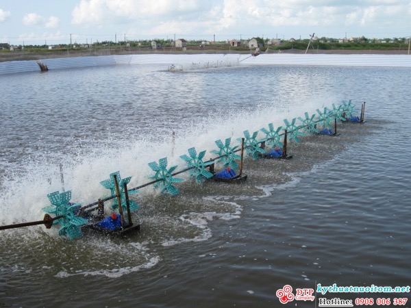 kỹ thuật nuôi tôm kỹ thuật nuôi tôm