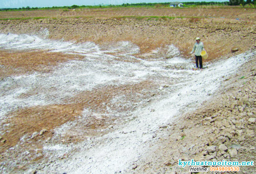 Thời gian còn tác dụng là 7 – 8 ngày sau khi diệt tạp Thời gian còn tác dụng là 7 – 8 ngày sau khi diệt tạp