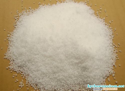 Phân urê làm tăng NH4-N trong nước, phá hoại tổ chức măng của tôm, cản trở sự vận chuyển màu làm tôm bị chết Phân urê làm tăng NH4-N trong nước, phá hoại tổ chức măng của tôm, cản trở sự vận chuyển màu làm tôm bị chết