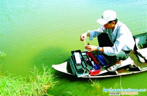 Màu nước đậm hay nhạt là thể hiện các chất hữu cơ nói trên và mật độ các loại tảo có trong nước nhiều hay ít Màu nước đậm hay nhạt là thể hiện các chất hữu cơ nói trên và mật độ các loại tảo có trong nước nhiều hay ít