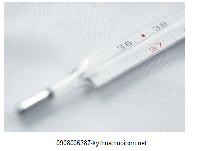 Kỹ thuật nuôi tôm cần nhất là phải theo dõi nhiệt độ của nước thường xuyên Vì vậy mà người nuôi tôm cần đo nhiệt độ thường xuyên ở trên mặt ao và ở lớp dưới đáy ao, đo 2 lần mỗi ngày vào lúc sáng sớm và chiều tối. Nhiệt độ thích hợp cho tôm. Tại các ao hồ vùng nhiệt đới khoảng 28 – 300C. Tôm sú có thể chịu được nhiệt độ 280C, nhưng tôm lớn tương đối chậm, trên 300C tôm lớn nhanh hơn nhưng rất dễ mắc bệnh, nhất là bênh MBV (Monodon baculovirus). Oxy dùng để nuôi tôm Nguồn cung cấp oxy cho ao nuôi chủ yếu là nhờ quang tổng hợp của các phiêu sinh vật và sự khuếch tán oxy trong không khí nhờ hệ thống quạt nước. Phạm vi an toàn cho tôm từ 5 – 8ppm, nếu oxy thiếu sẽ ảnh hưởng đến sự bắt mồi, sinh trưởng, nghiêm trọng dẫn đến hiện tượng tôm bị đỏ mang và chết hàng loạt. Ban đêm, nếu oxy dưới 3ppm thì tăng cường sục khí là kỹ thuật nuôi tôm cực quan trọng bà con cần ghi nhớ. Buổi sáng từ 11 giờ - 4 giờ chiều nếu oxy cao hơn 15ppm thì Nhiệt độ của nước Tôm cũng giống như tất cả các động vật sống dưới nước, tôm thuộc loại máu lạnh (cold – blooded, poikilothermic) trái với loại thân nhiệt (warm – blooded, homoiothermic) như con người. Bên cạnh đó, tôm thay đổi nhiệt độ theo môi trường bên ngoài, còn chúng ta vẫn giữ nguyên nhiệt độ 37,50C dù môi trường bên ngoài có thể lạnh như vùng Bắc cực hoặc nóng như miền sa mạc. Vì vậy, nhiệt độ ảnh hưởng tới nhiều phương diện trong đời sống của tôm: hô hấp, tiêu thụ thức ăn, đồng hóa thức ăn, miễn nhiễm đối với bệnh tật, sự tăng trưởng… Do đó để đảm bảo tôm không gặp phải các tình trạng nêu trên việc kiểm soát nhiệ độ của nước là một trong những kỹ thuật nuôi tôm quan trọng bà con nên ghi nhớ. Theo dõi nhiệt độ thường xuyên là điều cực kỳ quan trọng trong kỹ thuật nuôi tôm Mỗi giai đoạn phát triển của tôm cần giữ nhiệt độ nước thích hợp. 1g/con – phát triển tốt ở 300C; 12 – 18 g/con – triển tốt ở 270C; > 18g/con – phát triển tốt ở < 270C. Ngoài ra, tôm sẽ chết nếu nhiệt độ thấp hơn 130C hoặc cao quá 300C. Khi nhiệt độ thay dổi theo khí hậu mỗi mùa, nên ở miền Nam có thể nuôi tôm quanh năm trong khi miền Bắc chỉ khai thác được vào mùa nóng. Nhiệt độ của mặt trời sẽ làm nóng lớp nước trên mặt nhanh hơn lớp dưới sâu, trong khi đó chúng ta biết tỷ trọng nước giảm đi nếu nhiệt độ gia tăng. Vì vậy, lớp nước trên mặt nhẹ hơn và có khuynh hướng không pha trộn với lớp nước ở dưới. Điều này làm hình thành tầng thermal stratification. Tại vùng nhiệt đới, tầng thermal stratification có ảnh hưởng nhiều tới năng suất, chất lượng ao hồ vì đã giữ riêng nhiệt độ và oxy ở trên mặt trong khi chất dinh dưỡng lại đáy. Ở đây việc dùng máy sục khí (Paddle wheel/Aerator) để phá vỡ tầng thermal stratification để pha trộn lớp nước trên mặt và dưới đáy rất cần thiết trong việc sử dụng ao hồ một cách hiệu quả. cho ngưng quạt nước để giảm oxy. Các triệu chứng của tôm khi ao hồ bị thiếu oxy là: Tôm sẽ tập trung gần mặt nước, gần vị trí dẫn nước vào ao hồ hoặc dọc theo bở ao, tôm sẽ giảm di chuyển nhưng gia tăng tốc độ hô hấp, có thể bị yếu và chết. Khi trong môi trường nước có quá nhiều chất khí bão hòa thì tôm sẽ bị bệnh hoặc chết khi các chất khí hòa tan này xâm nhập vào hệ thống tuần hoàn tạo thành những hạt bong bóng (bubble) còn gọi là emboli, làm cản trở sự lưu thông máu và tạo ra bệnh “gas bubble disease”. Chất khí thặng dư trong môi trường nước thường xảy ra trong những trường hợp sau đây: - Quá trình quang tổng hợp của thực vật phiêu sinh quá nhiều dẫn tới sự bão hòa của oxy trong nước. - Nếu nhiệt độ nước gia tăng nhanh sẽ tạo ra gas bubble disease vì khả năng bền chặt của các chất khí trong nước tỉ lệ nghịch với nhiệt độ nước. - Có sự pha trộn giữa các chất khí và nước dưới một áp suất nào đó, khi áp suất này giảm đi, các chất khí sẽ bay ra khỏi dung dịch nước và tạo thành “bong bóng”. Do đó, phần chứa nước mới bơm vào, vị trí các đập nước… có thể dẫn tới tình trạng gas saturation. Lắp đặt quạt nuôi tôm là một trong những kỹ thuật nuôi tôm chuyên nghiệp bà con nên áp dụng Tuy gas bubble disease không đáng lo ngại trong các ao hồ nuôi tôm, nhưng người nuôi cần lưu ý không nên để các dụng cụ chứa nước, tiếp nhận sự xáo trộn nước quá mạnh. Để tôm giống có môi trường sống tốt, hạn chế bệnh tật bà con có thể đặt mua quạt nuôi tôm chất lượng cao giá tốt tại Đại Tam Phát: Quạt nuôi tôm chất lượng cao Đại Tam Phát Kỹ thuật nuôi tôm cần nhất là phải theo dõi nhiệt độ của nước thường xuyên Vì vậy mà người nuôi tôm cần đo nhiệt độ thường xuyên ở trên mặt ao và ở lớp dưới đáy ao, đo 2 lần mỗi ngày vào lúc sáng sớm và chiều tối. Nhiệt độ thích hợp cho tôm. Tại các ao hồ vùng nhiệt đới khoảng 28 – 300C. Tôm sú có thể chịu được nhiệt độ 280C, nhưng tôm lớn tương đối chậm, trên 300C tôm lớn nhanh hơn nhưng rất dễ mắc bệnh, nhất là bênh MBV (Monodon baculovirus). Oxy dùng để nuôi tôm Nguồn cung cấp oxy cho ao nuôi chủ yếu là nhờ quang tổng hợp của các phiêu sinh vật và sự khuếch tán oxy trong không khí nhờ hệ thống quạt nước. Phạm vi an toàn cho tôm từ 5 – 8ppm, nếu oxy thiếu sẽ ảnh hưởng đến sự bắt mồi, sinh trưởng, nghiêm trọng dẫn đến hiện tượng tôm bị đỏ mang và chết hàng loạt. Ban đêm, nếu oxy dưới 3ppm thì tăng cường sục khí là kỹ thuật nuôi tôm cực quan trọng bà con cần ghi nhớ. Buổi sáng từ 11 giờ - 4 giờ chiều nếu oxy cao hơn 15ppm thì Nhiệt độ của nước Tôm cũng giống như tất cả các động vật sống dưới nước, tôm thuộc loại máu lạnh (cold – blooded, poikilothermic) trái với loại thân nhiệt (warm – blooded, homoiothermic) như con người. Bên cạnh đó, tôm thay đổi nhiệt độ theo môi trường bên ngoài, còn chúng ta vẫn giữ nguyên nhiệt độ 37,50C dù môi trường bên ngoài có thể lạnh như vùng Bắc cực hoặc nóng như miền sa mạc. Vì vậy, nhiệt độ ảnh hưởng tới nhiều phương diện trong đời sống của tôm: hô hấp, tiêu thụ thức ăn, đồng hóa thức ăn, miễn nhiễm đối với bệnh tật, sự tăng trưởng… Do đó để đảm bảo tôm không gặp phải các tình trạng nêu trên việc kiểm soát nhiệ độ của nước là một trong những kỹ thuật nuôi tôm quan trọng bà con nên ghi nhớ. Theo dõi nhiệt độ thường xuyên là điều cực kỳ quan trọng trong kỹ thuật nuôi tôm Mỗi giai đoạn phát triển của tôm cần giữ nhiệt độ nước thích hợp. 1g/con – phát triển tốt ở 300C; 12 – 18 g/con – triển tốt ở 270C; > 18g/con – phát triển tốt ở < 270C. Ngoài ra, tôm sẽ chết nếu nhiệt độ thấp hơn 130C hoặc cao quá 300C. Khi nhiệt độ thay dổi theo khí hậu mỗi mùa, nên ở miền Nam có thể nuôi tôm quanh năm trong khi miền Bắc chỉ khai thác được vào mùa nóng. Nhiệt độ của mặt trời sẽ làm nóng lớp nước trên mặt nhanh hơn lớp dưới sâu, trong khi đó chúng ta biết tỷ trọng nước giảm đi nếu nhiệt độ gia tăng. Vì vậy, lớp nước trên mặt nhẹ hơn và có khuynh hướng không pha trộn với lớp nước ở dưới. Điều này làm hình thành tầng thermal stratification. Tại vùng nhiệt đới, tầng thermal stratification có ảnh hưởng nhiều tới năng suất, chất lượng ao hồ vì đã giữ riêng nhiệt độ và oxy ở trên mặt trong khi chất dinh dưỡng lại đáy. Ở đây việc dùng máy sục khí (Paddle wheel/Aerator) để phá vỡ tầng thermal stratification để pha trộn lớp nước trên mặt và dưới đáy rất cần thiết trong việc sử dụng ao hồ một cách hiệu quả. cho ngưng quạt nước để giảm oxy. Các triệu chứng của tôm khi ao hồ bị thiếu oxy là: Tôm sẽ tập trung gần mặt nước, gần vị trí dẫn nước vào ao hồ hoặc dọc theo bở ao, tôm sẽ giảm di chuyển nhưng gia tăng tốc độ hô hấp, có thể bị yếu và chết. Khi trong môi trường nước có quá nhiều chất khí bão hòa thì tôm sẽ bị bệnh hoặc chết khi các chất khí hòa tan này xâm nhập vào hệ thống tuần hoàn tạo thành những hạt bong bóng (bubble) còn gọi là emboli, làm cản trở sự lưu thông máu và tạo ra bệnh “gas bubble disease”. Chất khí thặng dư trong môi trường nước thường xảy ra trong những trường hợp sau đây: - Quá trình quang tổng hợp của thực vật phiêu sinh quá nhiều dẫn tới sự bão hòa của oxy trong nước. - Nếu nhiệt độ nước gia tăng nhanh sẽ tạo ra gas bubble disease vì khả năng bền chặt của các chất khí trong nước tỉ lệ nghịch với nhiệt độ nước. - Có sự pha trộn giữa các chất khí và nước dưới một áp suất nào đó, khi áp suất này giảm đi, các chất khí sẽ bay ra khỏi dung dịch nước và tạo thành “bong bóng”. Do đó, phần chứa nước mới bơm vào, vị trí các đập nước… có thể dẫn tới tình trạng gas saturation. Lắp đặt quạt nuôi tôm là một trong những kỹ thuật nuôi tôm chuyên nghiệp bà con nên áp dụng Tuy gas bubble disease không đáng lo ngại trong các ao hồ nuôi tôm, nhưng người nuôi cần lưu ý không nên để các dụng cụ chứa nước, tiếp nhận sự xáo trộn nước quá mạnh. Để tôm giống có môi trường sống tốt, hạn chế bệnh tật bà con có thể đặt mua quạt nuôi tôm chất lượng cao giá tốt tại Đại Tam Phát: Quạt nuôi tôm chất lượng cao Đại Tam Phát