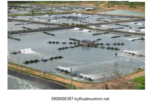 Lắp đặt quạt nuôi tôm là một trong những kỹ thuật nuôi tôm chuyên nghiệp bà con nên áp dụng Lắp đặt quạt nuôi tôm là một trong những kỹ thuật nuôi tôm chuyên nghiệp bà con nên áp dụng