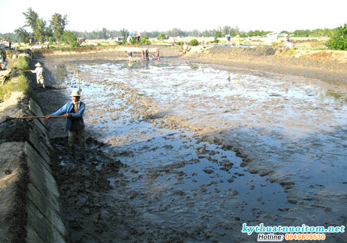 Cho cá ăn quá dư thừa, quản lý việc cho ăn còn thiếu kinh nghiệm, không bố trí việc cho tôm, cá ăn hợp lý như thời điểm cho ăn, địa điểm cho ăn, sử dụng loại thức ăn không đúng cho từng độ tuổi và khả năng tăng trưởng của cá Cho cá ăn quá dư thừa, quản lý việc cho ăn còn thiếu kinh nghiệm, không bố trí việc cho tôm, cá ăn hợp lý như thời điểm cho ăn, địa điểm cho ăn, sử dụng loại thức ăn không đúng cho từng độ tuổi và khả năng tăng trưởng của cá