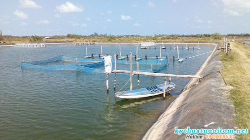 Việc hạn chế tối đa dùng các loại thuốc, hóa chất và đặc biệt là quản lý thức ăn như hàm lượng, thành phần các chất trong thức ăn, lượng thức ăn hằng ngày sử dụng, số lần cho ăn trong ngày, vị trí cho ăn Việc hạn chế tối đa dùng các loại thuốc, hóa chất và đặc biệt là quản lý thức ăn như hàm lượng, thành phần các chất trong thức ăn, lượng thức ăn hằng ngày sử dụng, số lần cho ăn trong ngày, vị trí cho ăn