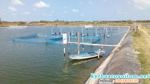 Oxy trong ao được tiêu thụ bởi các vật nuôi thủy sản và những loài cạnh tranh môi trường sống của chúng, cũng như những loài gây hại khác Oxy trong ao được tiêu thụ bởi các vật nuôi thủy sản và những loài cạnh tranh môi trường sống của chúng, cũng như những loài gây hại khác