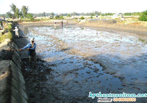 Đầu vụ, do ao còn sạch, môi trường còn tốt nên hàm lượng oxy cao hơn giữa hoặc cuối vụ nuôi Đầu vụ, do ao còn sạch, môi trường còn tốt nên hàm lượng oxy cao hơn giữa hoặc cuối vụ nuôi