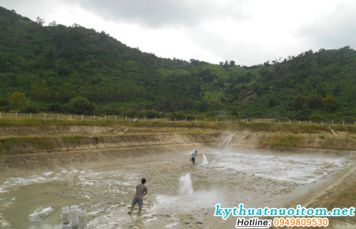 Lượng vôi thường dùng 1 – 2kg/100m2 ao nuôi, vôi được hòa tan, tạt đều quanh khu ao nuôi Lượng vôi thường dùng 1 – 2kg/100m2 ao nuôi, vôi được hòa tan, tạt đều quanh khu ao nuôi