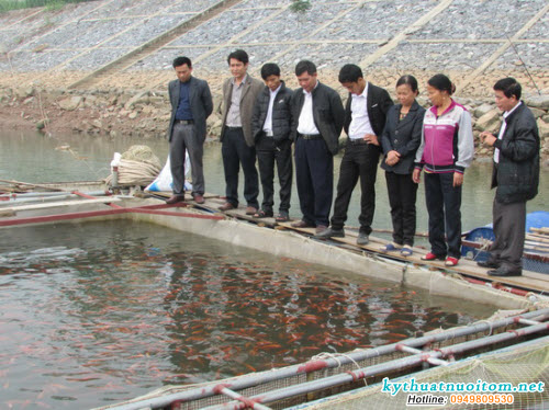 Với lồng làm bằng vật liệu mềm (lưới) thì phải lắp ráp bộ khung trước, sau đó mắc lồng lưới đã khâu hoàn chỉnh vào khung Với lồng làm bằng vật liệu mềm (lưới) thì phải lắp ráp bộ khung trước, sau đó mắc lồng lưới đã khâu hoàn chỉnh vào khung