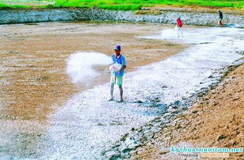 Xử lý đáy ao là quy trình cực kỳ quan trọng khi chuẩn bị ao nuôi tôm Xử lý đáy ao là quy trình cực kỳ quan trọng khi chuẩn bị ao nuôi tôm