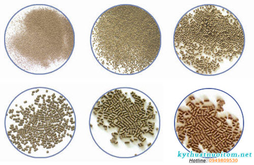 Lựa chọn thức ăn phù hợp cho tôm sú là điều vô cùng quan trọng Lựa chọn thức ăn phù hợp cho tôm sú là điều vô cùng quan trọng