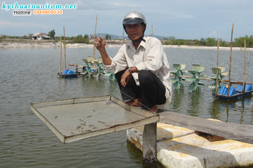 Trị bệnh cho tôm không phải là điều đơn giản nên bà con cần tập trung phòng bệnh cho tôm thật tốt Trị bệnh cho tôm không phải là điều đơn giản nên bà con cần tập trung phòng bệnh cho tôm thật tốt