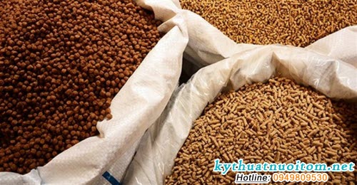 Nên trộn liên tục các loại thuốc bổ vào thức ăn để cá luôn khỏe mạnh, tăng sức đề kháng 3 các căn bệnh Nên trộn liên tục các loại thuốc bổ vào thức ăn để cá luôn khỏe mạnh, tăng sức đề kháng 3 các căn bệnh