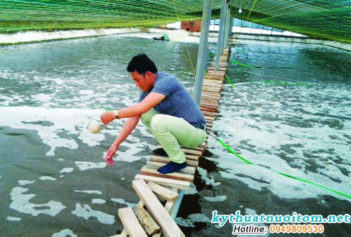 Tiêu diệt ký chủ trung gian và ký chủ cuối cùng, đánh bắt hết cá bệnh, săn bắn các loại chim bắt cá Tiêu diệt ký chủ trung gian và ký chủ cuối cùng, đánh bắt hết cá bệnh, săn bắn các loại chim bắt cá