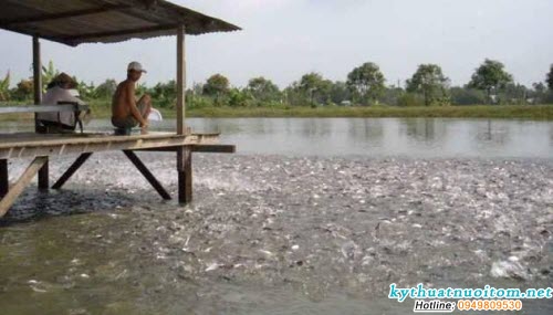 Mọi sinh vật đều tồn tại sự di truyền, biến dị, chọn lọc Mọi sinh vật đều tồn tại sự di truyền, biến dị, chọn lọc