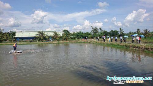 Cho cá ăn đúng kỹ thuật giúp cá sinh trưởng và phát triển tốt Cho cá ăn đúng kỹ thuật giúp cá sinh trưởng và phát triển tốt