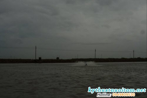 Khi thời tiết, môi trường xấu, cần hạn chế sử dụng thức ăn tự chế biến, chỉ nên sử dụng thức ăn công nghiệp, nên giảm lượng ăn hằng ngày xuống hoặc ngưng cho cá, tôm ăn trong thời gian này Khi thời tiết, môi trường xấu, cần hạn chế sử dụng thức ăn tự chế biến, chỉ nên sử dụng thức ăn công nghiệp, nên giảm lượng ăn hằng ngày xuống hoặc ngưng cho cá, tôm ăn trong thời gian này