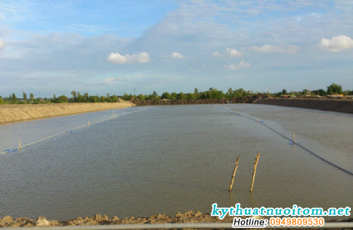 Cải tạo môi trường nước ao nuôi là cách phòng bệnh cho cá sau ngập lụt hiệu quả Cải tạo môi trường nước ao nuôi là cách phòng bệnh cho cá sau ngập lụt hiệu quả