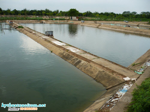 Ở phía đầu ống dẫn nước, thoát nước cần có phên nứa, lưới chắn để cá nhỏ không lọt ra ngoài và có tác dụng chắn rác Ở phía đầu ống dẫn nước, thoát nước cần có phên nứa, lưới chắn để cá nhỏ không lọt ra ngoài và có tác dụng chắn rác