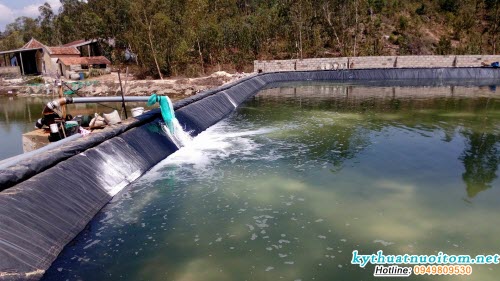 Thay nước là yếu tố cực kỳ quan trọng trong kỹ thuật nuôi tôm sú Thay nước là yếu tố cực kỳ quan trọng trong kỹ thuật nuôi tôm sú