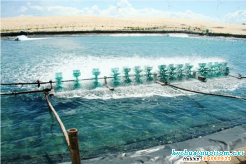 Để đảm bảo oxy hòa tan cho ao nuôi cần lắp đặt thêm cánh quạt nuôi tôm theo đúng kỹ thuật nuôi tôm Để đảm bảo oxy hòa tan cho ao nuôi cần lắp đặt thêm cánh quạt nuôi tôm theo đúng kỹ thuật nuôi tôm