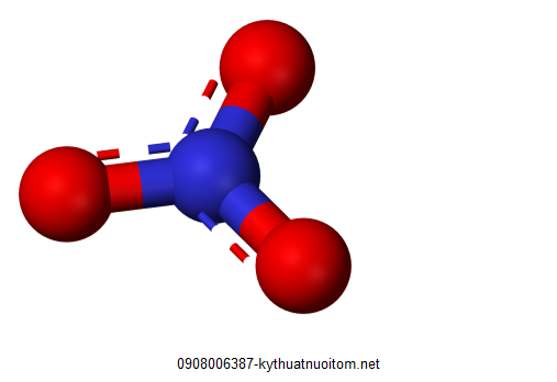 Nuôi tôm đúng kỹ thuật đòi hỏi bà con cần phải liên tục kiểm tra nồng độ nitrate trong ao nuôi Nuôi tôm đúng kỹ thuật đòi hỏi bà con cần phải liên tục kiểm tra nồng độ nitrate trong ao nuôi