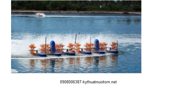 Việc nắm bắt các tác nhân gây ảnh hưởng đến nguồn nước ao nuôi là một trong những kỹ thuật nuôi tôm quan trọng bà con cần ghi nhớ Việc nắm bắt các tác nhân gây ảnh hưởng đến nguồn nước ao nuôi là một trong những kỹ thuật nuôi tôm quan trọng bà con cần ghi nhớ