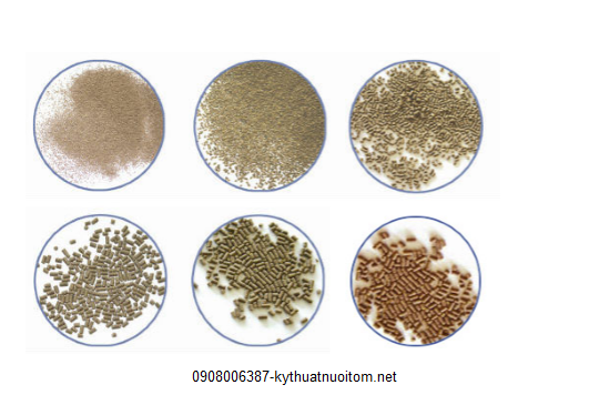 Thức ăn thừa của tôm cũng là một trong những nguyên nhân gây chất thải trong ao nuôi tôm Thức ăn thừa của tôm cũng là một trong những nguyên nhân gây chất thải trong ao nuôi tôm