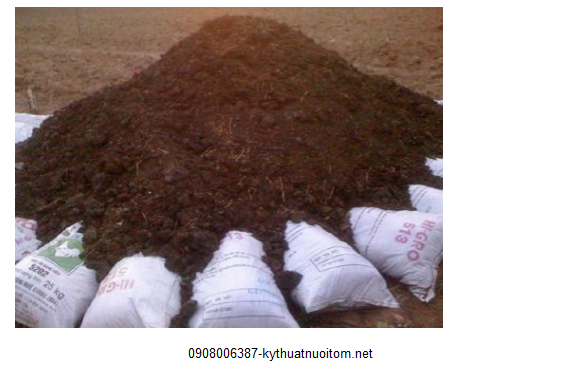 Phân chuồng một trong những sự lựa chọn được nhiều bà con ứng dụng khi tạo màu nước cho ao nuôi tôm Phân chuồng một trong những sự lựa chọn được nhiều bà con ứng dụng khi tạo màu nước cho ao nuôi tôm