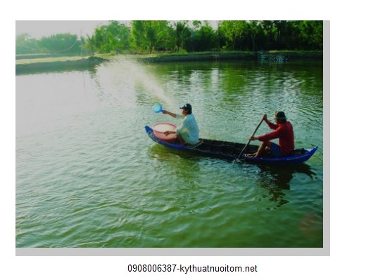 Tính toán hệ số thức ăn là điều cực kỳ quan trọng mà bà con cần chú ý Tính toán hệ số thức ăn là điều cực kỳ quan trọng mà bà con cần chú ý