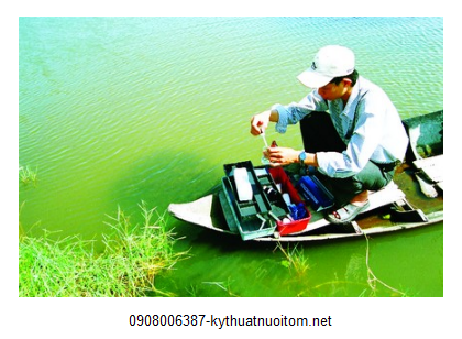 Xử lý các chất hữu cơ có trong nước ao nuôi sẽ giúp tôm hạn chế được tối đa bệnh tật Xử lý các chất hữu cơ có trong nước ao nuôi sẽ giúp tôm hạn chế được tối đa bệnh tật