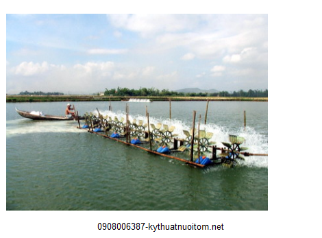 Khi dùng hóa chất để xử lý nước cho ao đang nuôi tôm thì người nuôi phải lưu ý để hóa chất không làm chết tảo và các vi sinh vật có lợi trong ao Khi dùng hóa chất để xử lý nước cho ao đang nuôi tôm thì người nuôi phải lưu ý để hóa chất không làm chết tảo và các vi sinh vật có lợi trong ao