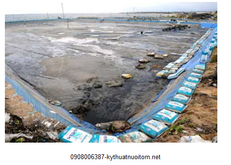 Nguồn nước bị ô nhiễm nguyên nhân khiến tôm chết hàng loạt Nguồn nước bị ô nhiễm nguyên nhân khiến tôm chết hàng loạt