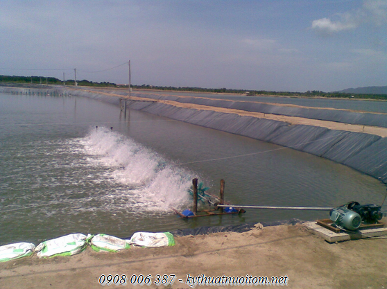 Quạt nuôi tôm ĐTP mang đến những trải nghiệm hoàn toàn khác biệt dành cho bà con trong suốt quá trình nuôi tôm. Quạt nuôi tôm ĐTP mang đến những trải nghiệm hoàn toàn khác biệt dành cho bà con trong suốt quá trình nuôi tôm.