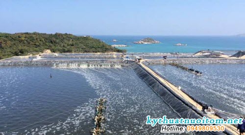 Mặt khác, phương pháp nông nghiệp cũ đã bị thay đổi để tiến tới áp dụng phương pháp sản xuất để xuất khẩu Mặt khác, phương pháp nông nghiệp cũ đã bị thay đổi để tiến tới áp dụng phương pháp sản xuất để xuất khẩu