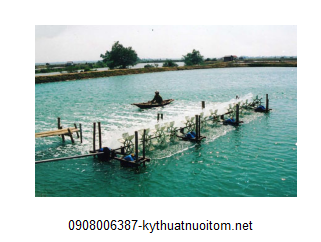 Để tham khảo thêm kỹ thuật nuôi tôm sú nước mặn, nước lợ, nước ngọt bà con có thể tham khảo bài viết sau: Hướng dẫn kỹ thuật nuôi tôm sú (phần 3)