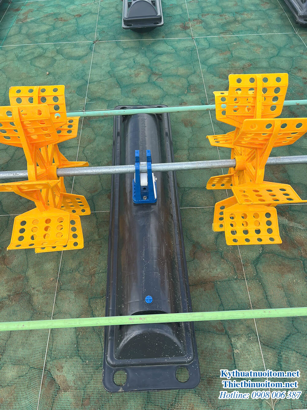 KỸ THUẬT NUÔI TÔM TRONG AO ĐẤT: HƯỚNG DẪN CHUYÊN SÂU & GIẢI PHÁP TỐI ƯU NĂM 2025 KỸ THUẬT NUÔI TÔM TRONG AO ĐẤT: HƯỚNG DẪN CHUYÊN SÂU & GIẢI PHÁP TỐI ƯU NĂM 2025