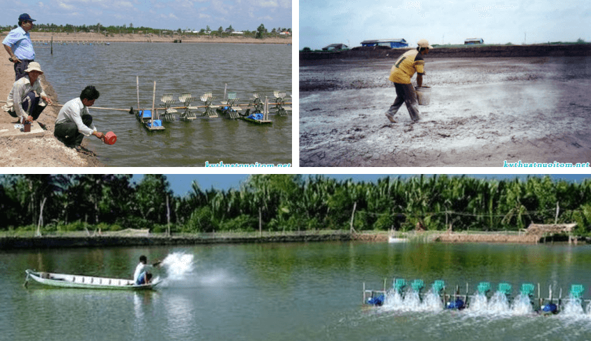 Chuẩn bị ao nuôi đúng kỹ thuật nuôi tôm là yêu cầu cần phải có khi bắt đầu nuôi Chuẩn bị ao nuôi đúng kỹ thuật nuôi tôm là yêu cầu cần phải có khi bắt đầu nuôi