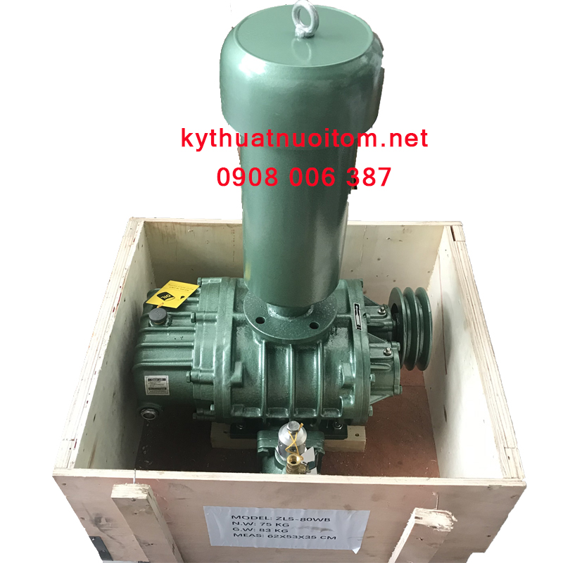 Thiết bị nuôi tôm - Máy thổi khí 80 ZLS Thiết bị nuôi tôm - Máy thổi khí 80 ZLS