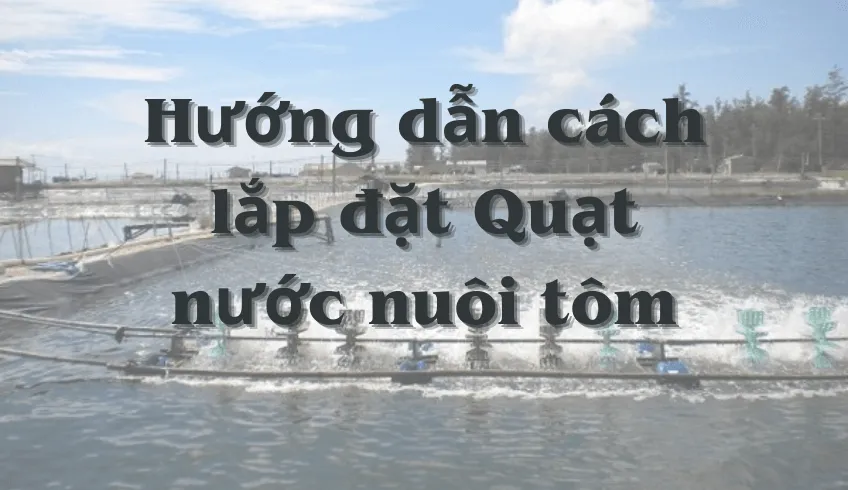 Hướng dẫn cách lắp đặt Quạt nước nuôi tôm